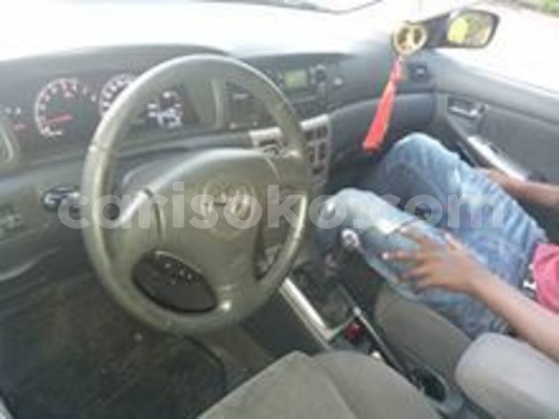 Big with watermark 60213070 212877543023164 6959227074116583424 n