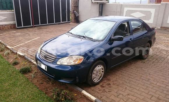 اشتري مستعمل Toyota Corolla Bleu سيارة في Kigali في Rwanda اشتري مستعمل Toyota Corolla Bleu سيارة في Kigali في Rwanda