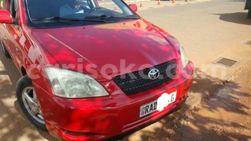 Big with watermark 60287528 212840679693517 8434858681744490496 n