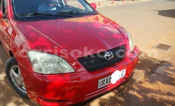 اشتري مستعمل Toyota Corolla Rouge سيارة في Kigali في Rwanda اشتري مستعمل Toyota Corolla Rouge سيارة في Kigali في Rwanda