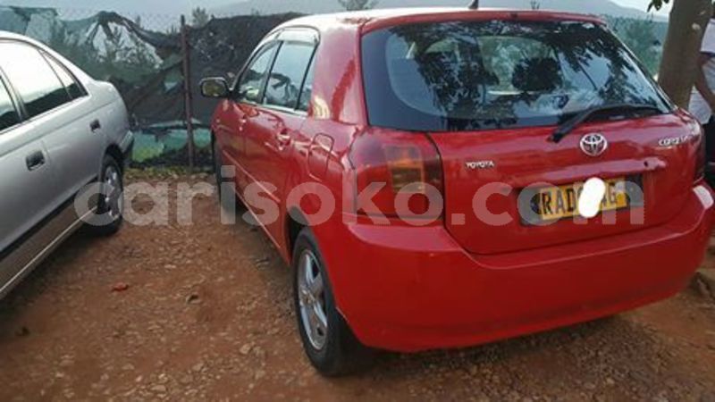 Big with watermark 60334410 212840693026849 135620644707500032 n