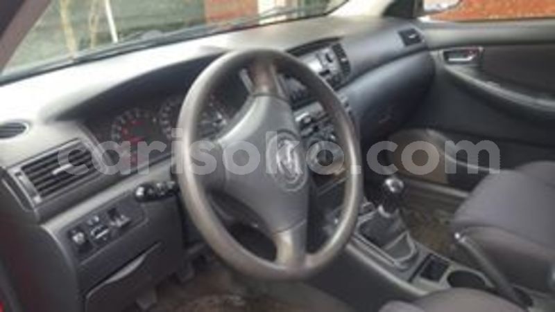 Big with watermark 60099761 212840743026844 5685800267631558656 n