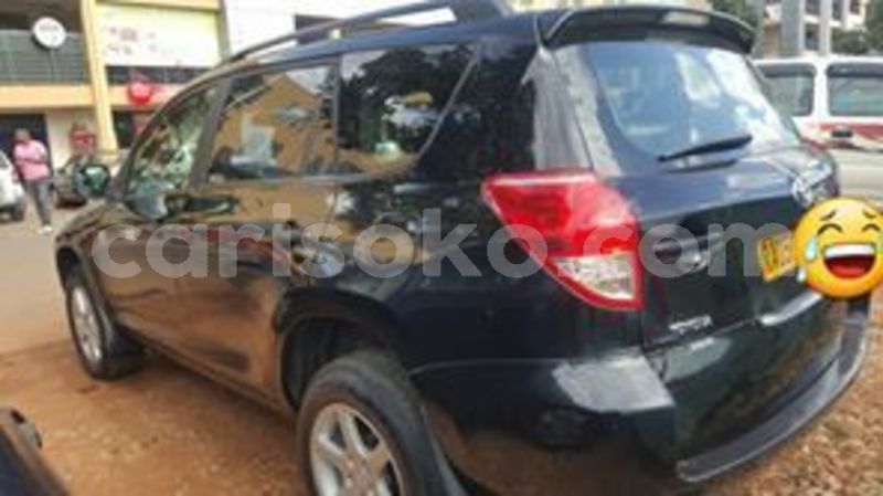 Big with watermark 60590075 212803029697282 4249311879542865920 n