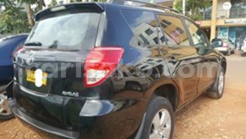 Big with watermark 60334197 212803056363946 3629017910787178496 n