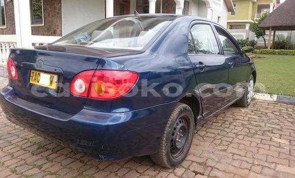 اشتري مستعمل Toyota Corolla Bleu سيارة في Kigali في Rwanda اشتري مستعمل Toyota Corolla Bleu سيارة في Kigali في Rwanda