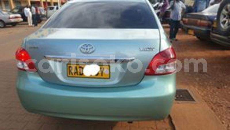 Big with watermark 60010684 212601996384052 3270969976495800320 n