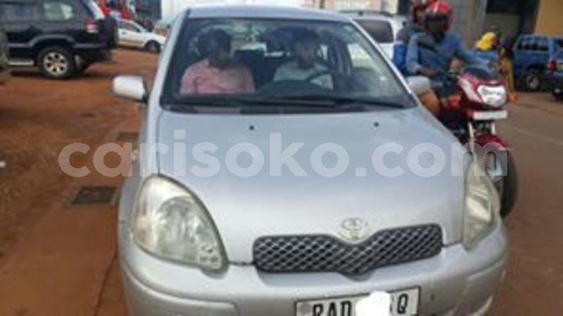 Big with watermark 60060636 212586019718983 8394733894674415616 n