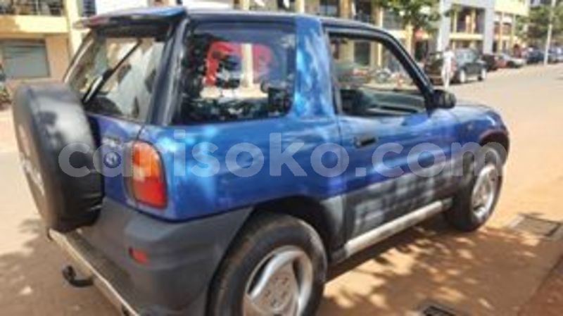 Big with watermark 60361325 212483219729263 146515610937851904 n