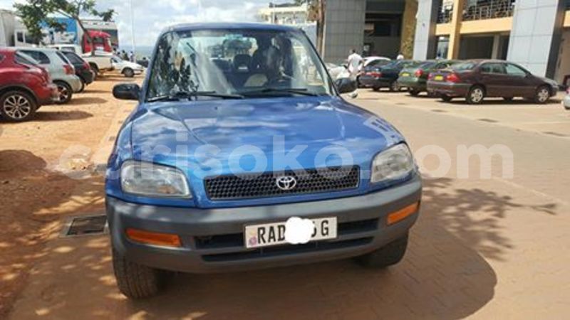 Big with watermark 60025429 212483206395931 3940306119515176960 n