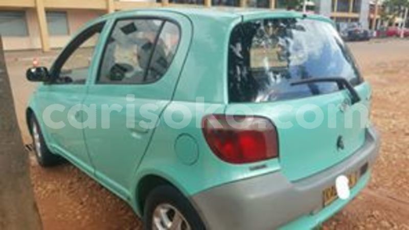 Big with watermark 60026473 212148226429429 4667555670273294336 n