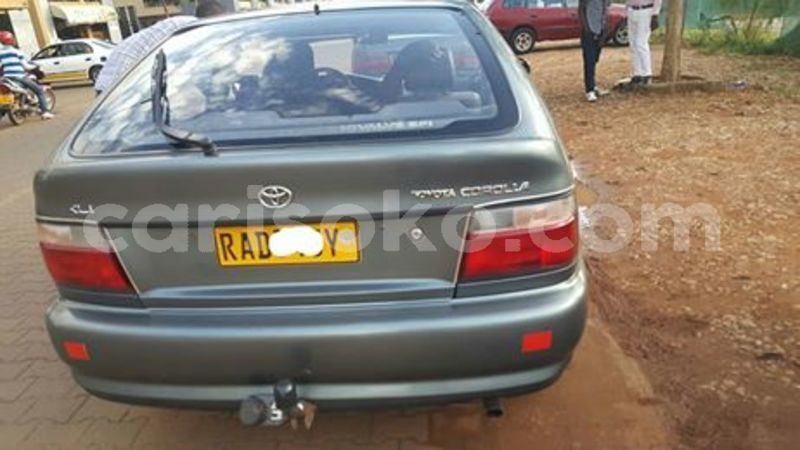 Big with watermark 60117717 211992516445000 660167955505479680 n