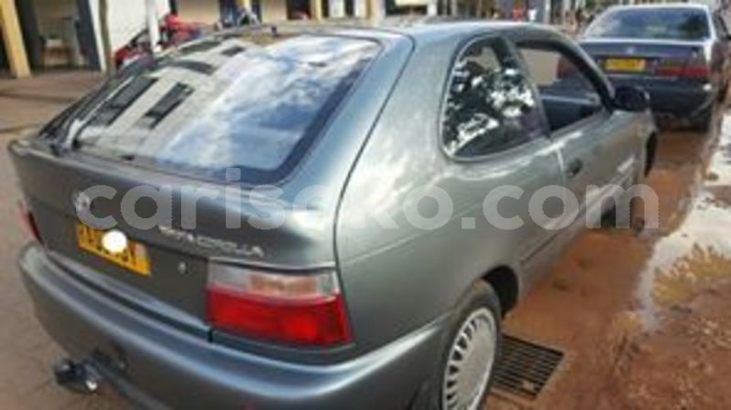 Big with watermark 59971872 211992529778332 3954584210009751552 n