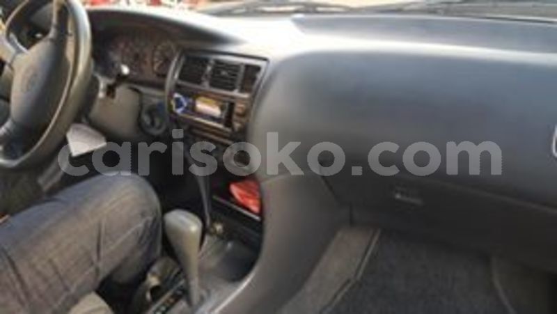 Big with watermark 60028086 211992563111662 3563498433794801664 n