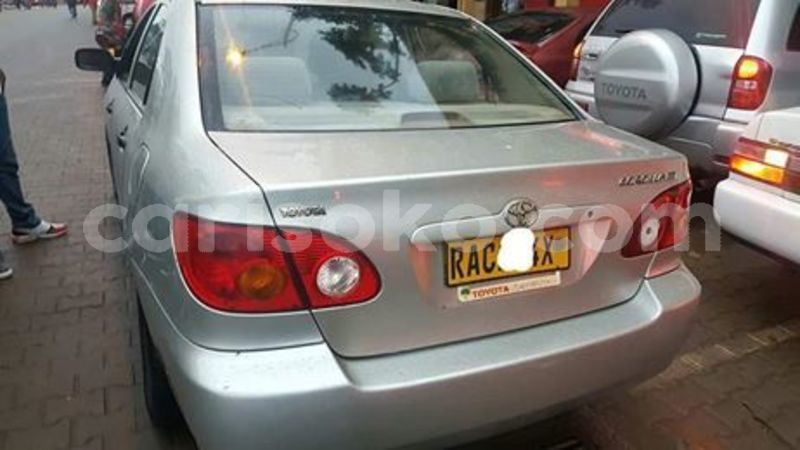 Big with watermark 60039168 211857536458498 1747518761339977728 n