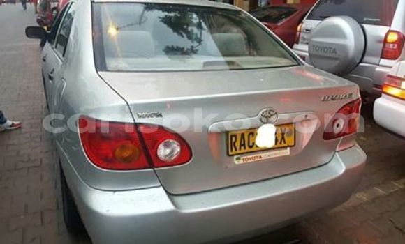 اشتري مستعمل Toyota Corolla Gris سيارة في Kigali في Rwanda اشتري مستعمل Toyota Corolla Gris سيارة في Kigali في Rwanda