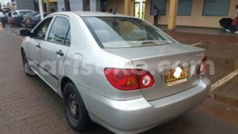 Big with watermark 60398170 211857553125163 6531577841878827008 n