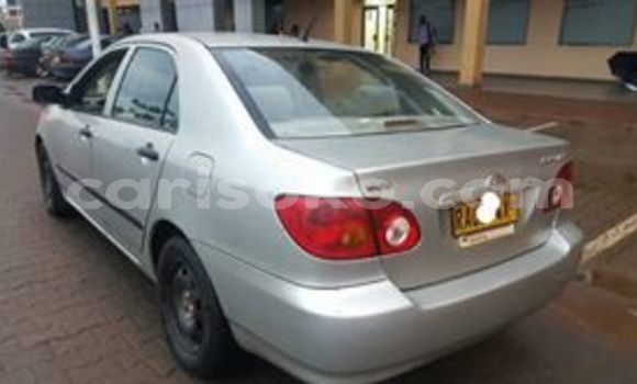 اشتري مستعمل Toyota Corolla Gris سيارة في Kigali في Rwanda اشتري مستعمل Toyota Corolla Gris سيارة في Kigali في Rwanda