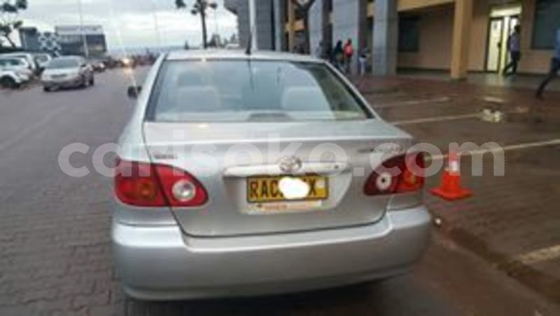 Big with watermark 60254750 211857566458495 5121080542871158784 n