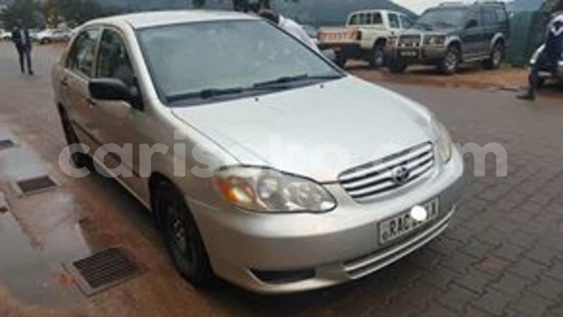 Big with watermark 60270135 211857583125160 4985161853203120128 n