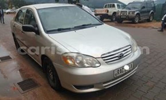 اشتري مستعمل Toyota Corolla Gris سيارة في Kigali في Rwanda اشتري مستعمل Toyota Corolla Gris سيارة في Kigali في Rwanda