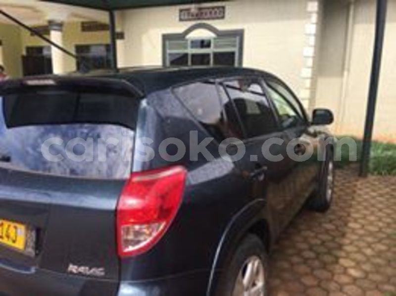 Big with watermark 60100693 211842723126646 3964437217174093824 n