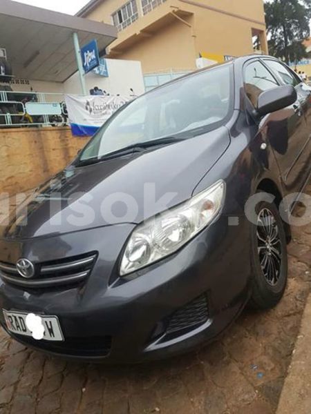 Big with watermark 60106836 211708559806729 5403849971185221632 n