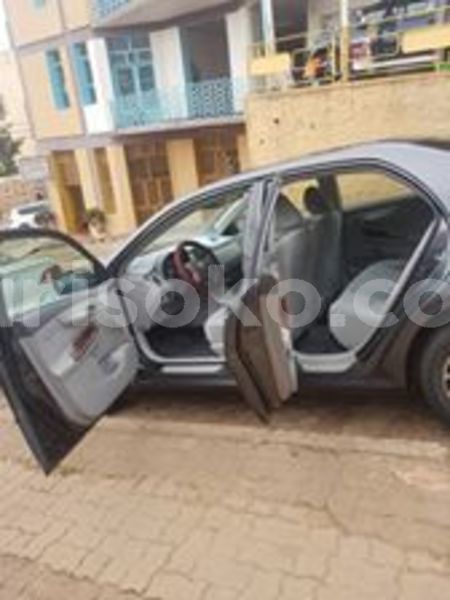 Big with watermark 60025430 211708606473391 1519039880015904768 n