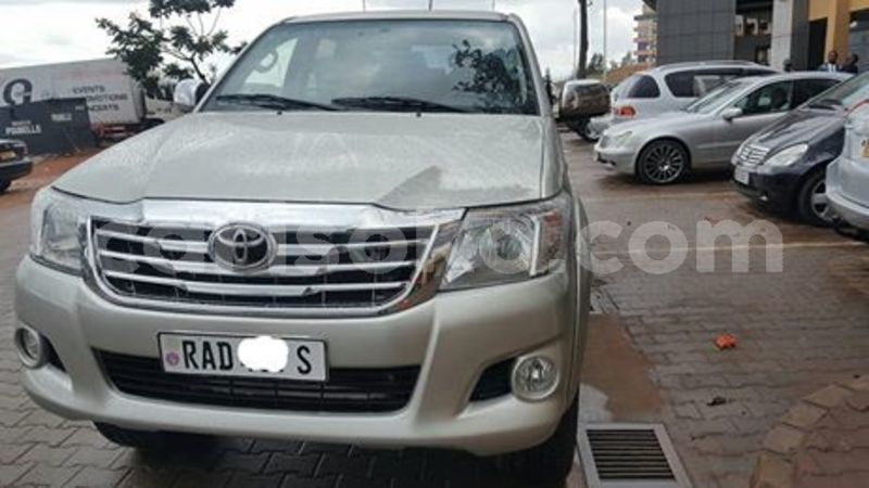 Big with watermark 59797017 211684069809178 2547085193311682560 n