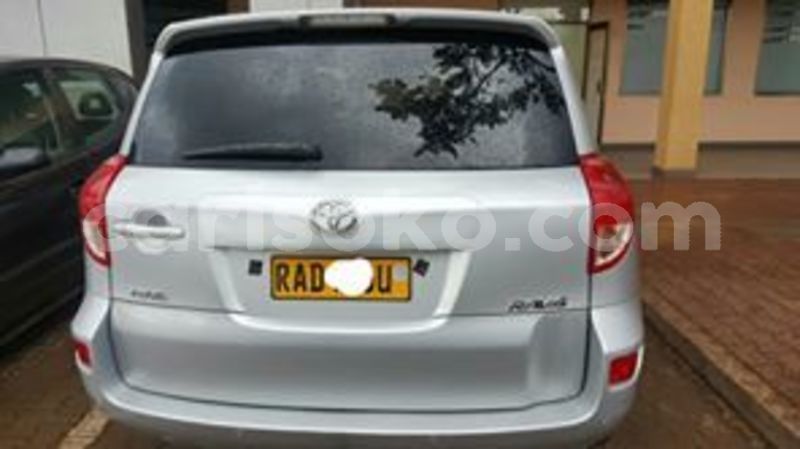 Big with watermark 60357722 211613266482925 8214589072060973056 n