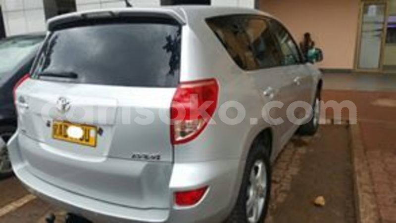 Big with watermark 60294118 211613299816255 7874828837933023232 n