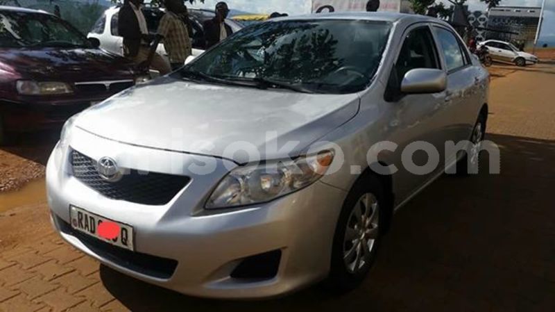 Big with watermark 60109280 211550329822552 8370746833038737408 n