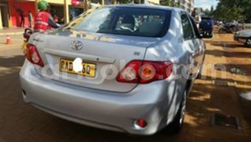 Big with watermark 59748488 211550359822549 3934874106872201216 n