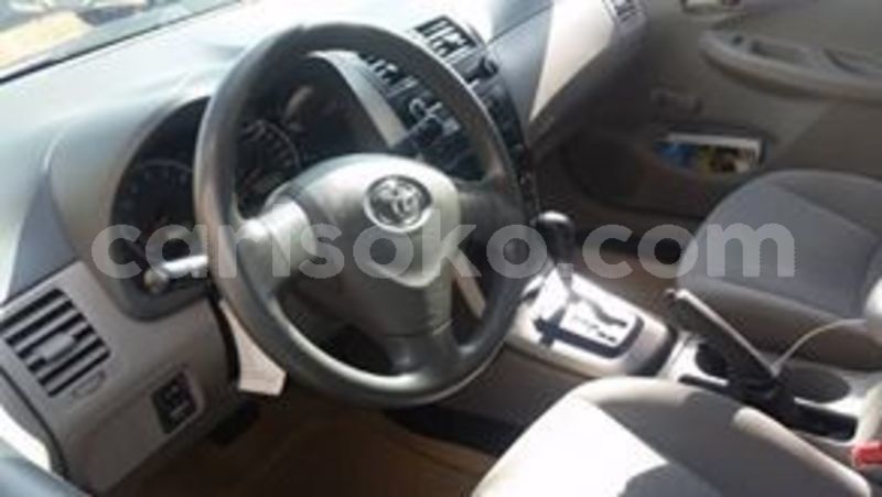 Big with watermark 59924443 211550373155881 4976933554857443328 n