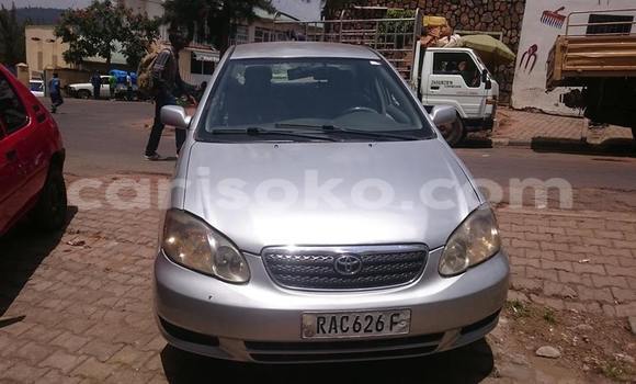 اشتري مستعمل Toyota Corolla Gris سيارة في Gicumbi في Rwanda اشتري مستعمل Toyota Corolla Gris سيارة في Gicumbi في Rwanda