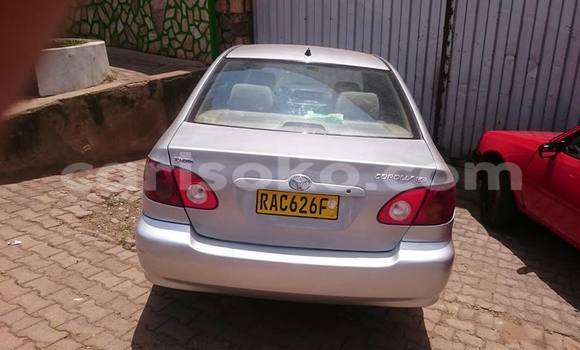 اشتري مستعمل Toyota Corolla Gris سيارة في Gicumbi في Rwanda اشتري مستعمل Toyota Corolla Gris سيارة في Gicumbi في Rwanda
