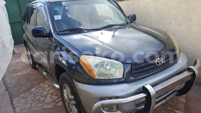 Big with watermark 60073376 211104939867091 1098235034646609920 n