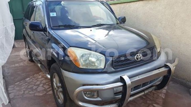 Big with watermark 60046502 211104953200423 365652242608422912 n