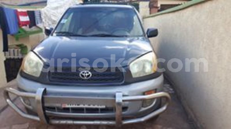 Big with watermark 59934195 211104973200421 704231206111150080 n