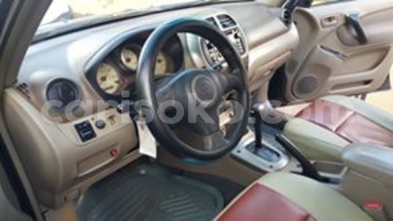 Big with watermark 60334191 211104986533753 7977436633131646976 n