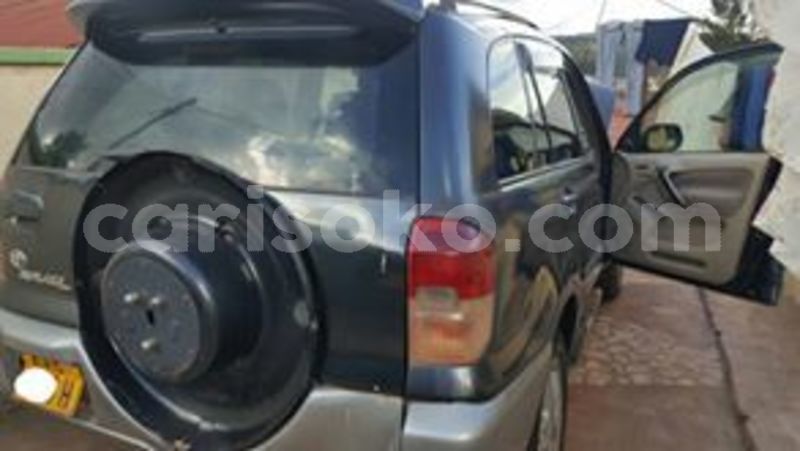 Big with watermark 59882238 211104999867085 7777001032097202176 n