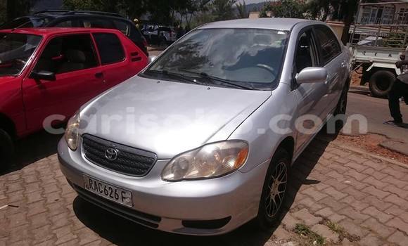 اشتري مستعمل Toyota Corolla Gris سيارة في Gicumbi في Rwanda اشتري مستعمل Toyota Corolla Gris سيارة في Gicumbi في Rwanda
