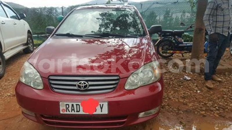 Big with watermark 59588518 210818839895701 410395579810578432 n