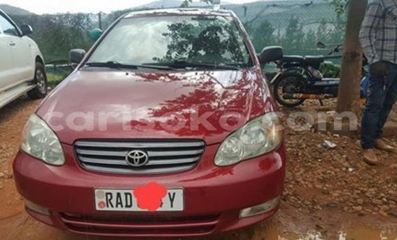 اشتري مستعمل Toyota Corolla Rouge سيارة في Kigali في Rwanda اشتري مستعمل Toyota Corolla Rouge سيارة في Kigali في Rwanda
