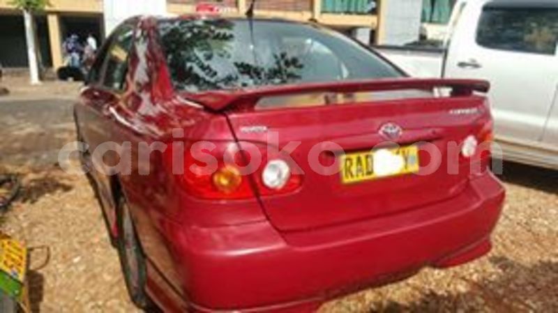 Big with watermark 59808795 210818869895698 4807479309570670592 n