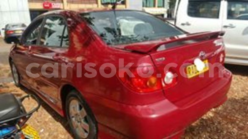 Big with watermark 59699495 210818883229030 3451699812309663744 n