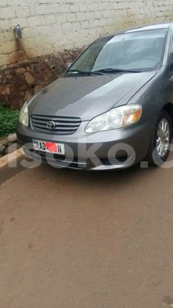 Big with watermark 59526514 210745349903050 8068129437431889920 n