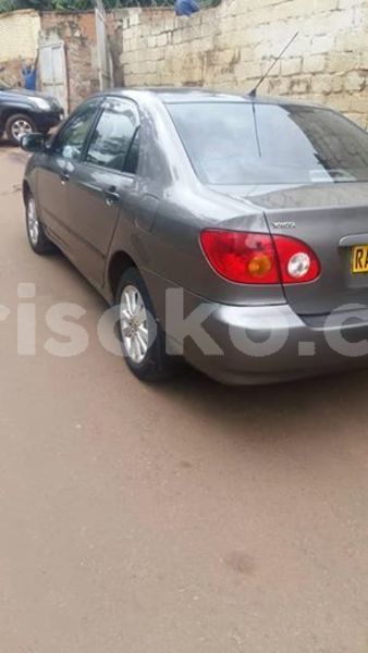 Big with watermark 60037413 210745363236382 2930883565371523072 n