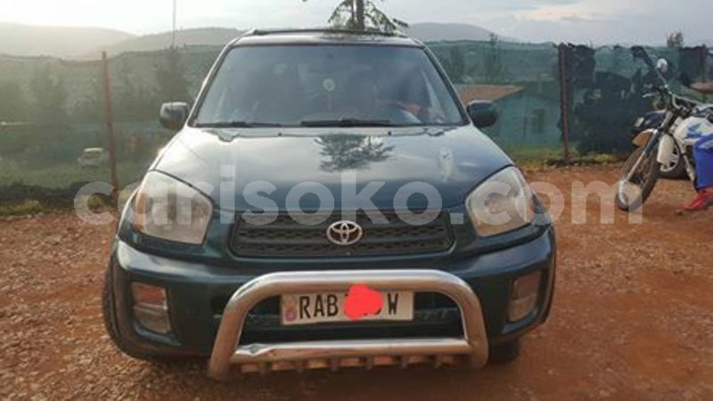 Big with watermark 59543482 209879589989626 4419306758132989952 n