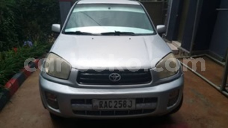 Big with watermark 60295465 169966324004459 3204699125039759360 n