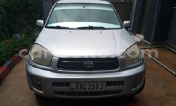 Buy Used Toyota RAV4 Silver Car in Kigali in Rwanda Buy Used Toyota RAV4 Silver Car in Kigali in Rwanda
